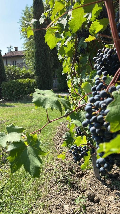 Gabriele Country House Desenzano del Garda Buitenkant foto