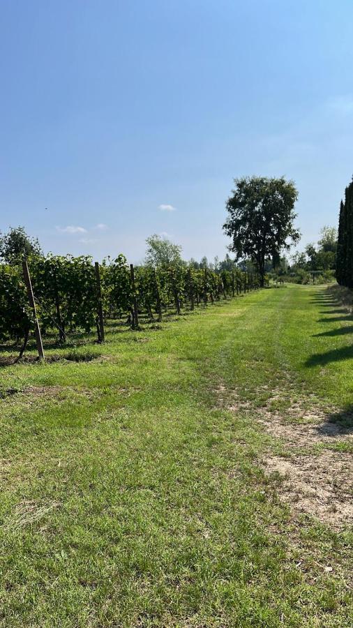 Gabriele Country House Desenzano del Garda Buitenkant foto